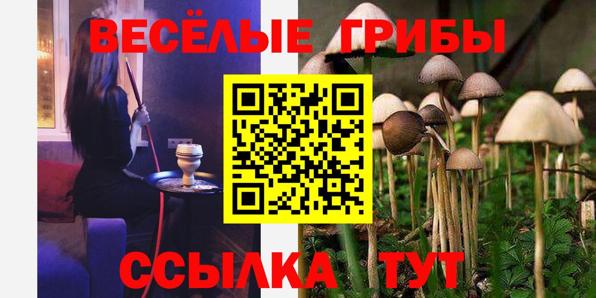 Псилоцибиновые грибы Magic Shrooms Севастополь